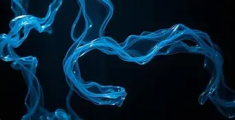 Liquid Web vs Scalahosting Vps Hosting Compared: Which Should You Buy?